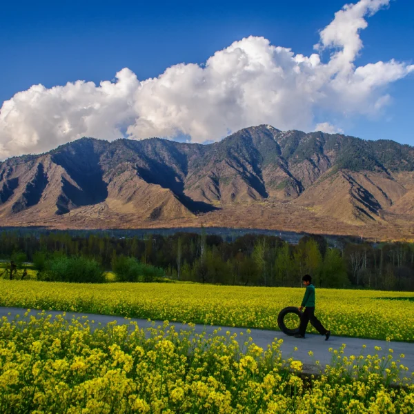 Gurez Valley Bangus Expedition