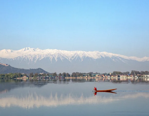 Srinagar Tulip Festival