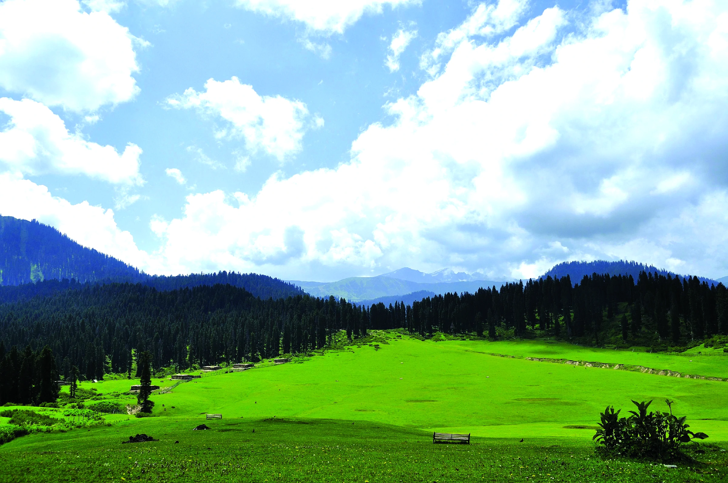 Doodpathri pic Maqsood bhat (7)