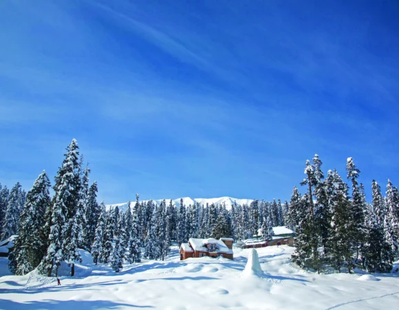Exotic Kashmir with Gulmarg