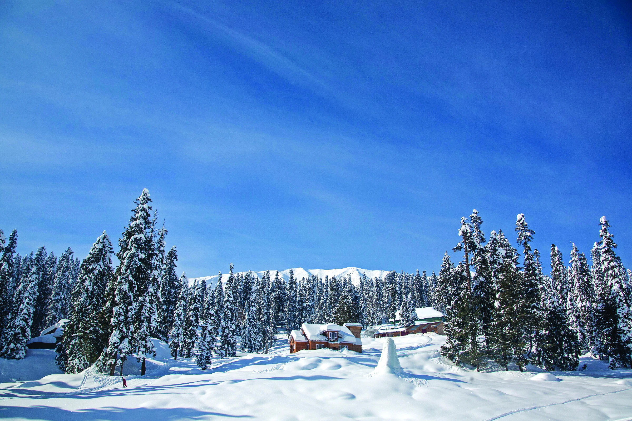 Exotic Kashmir with Gulmarg
