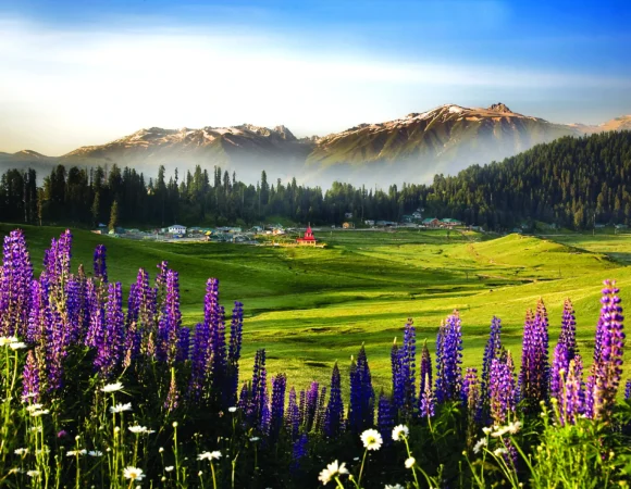 Glimpse Of Kashmir