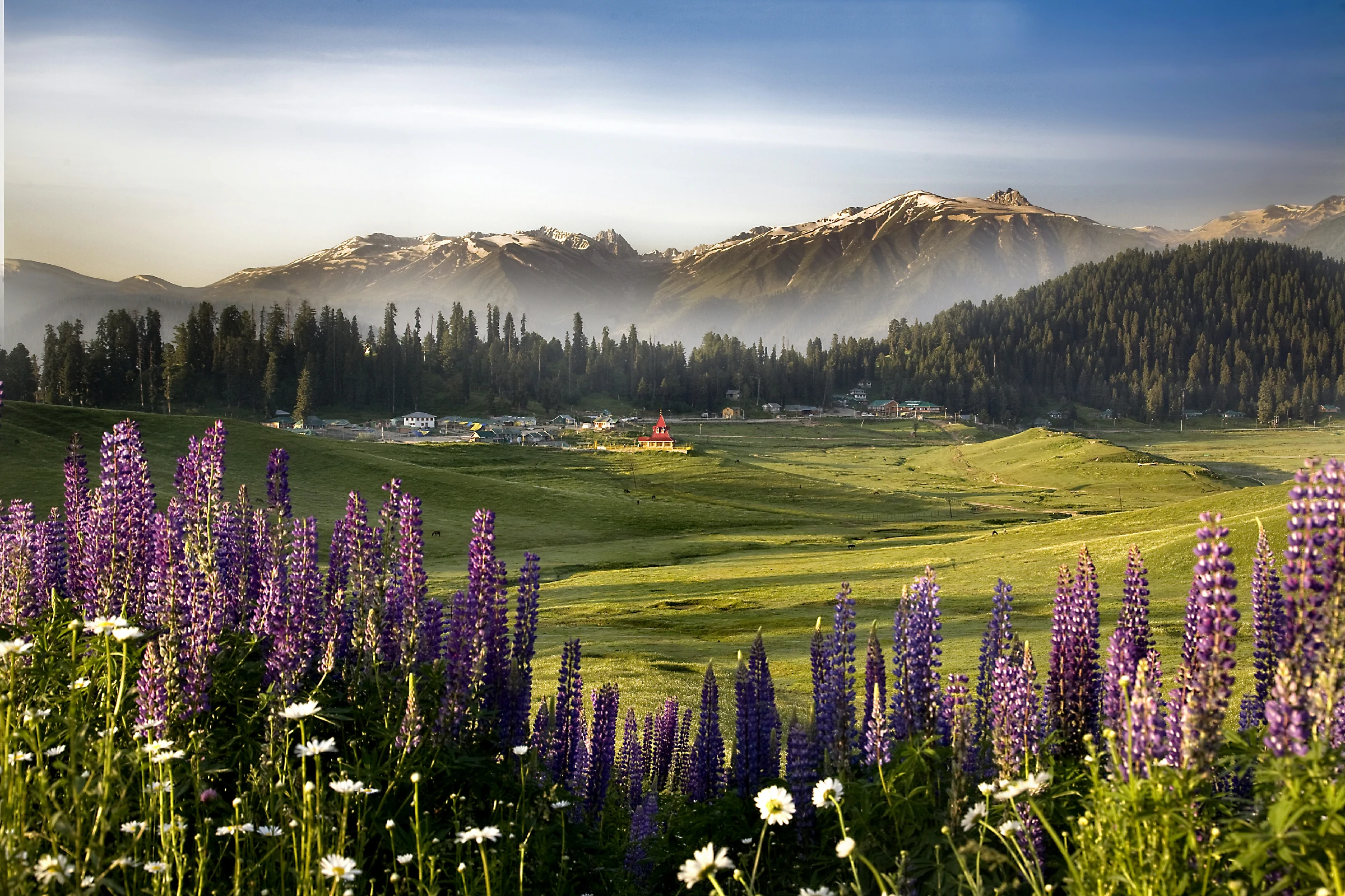 Gulmarg Bowl