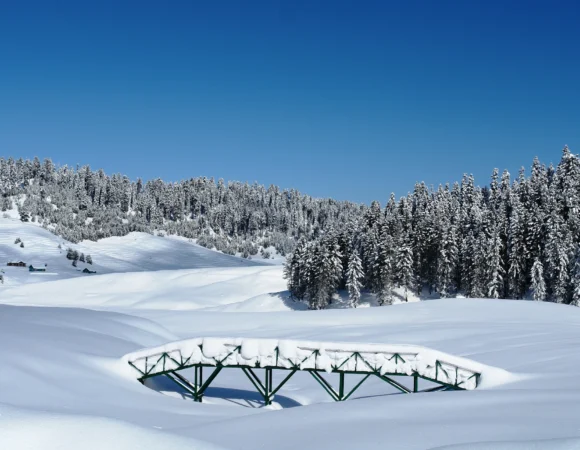Gulmarg Winter Special Tour
