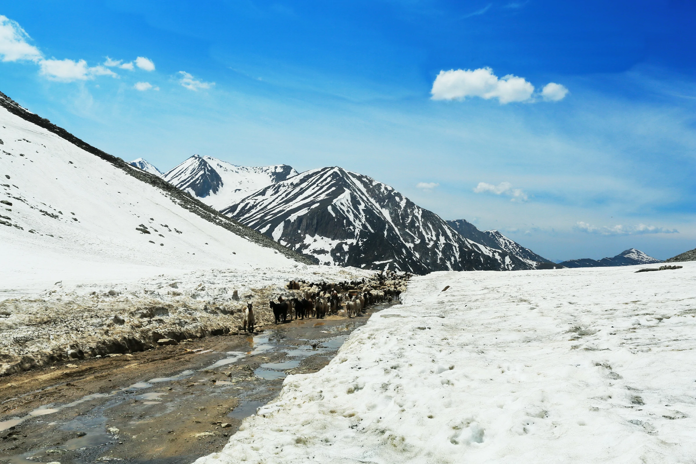 MARGAN PASS