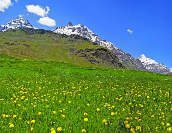 Exquisite Ladakh Trip