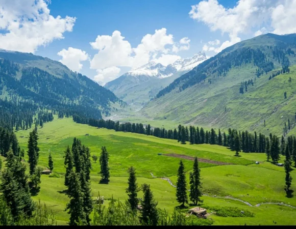 Untouched Gurez & Tulail Valley Retreat