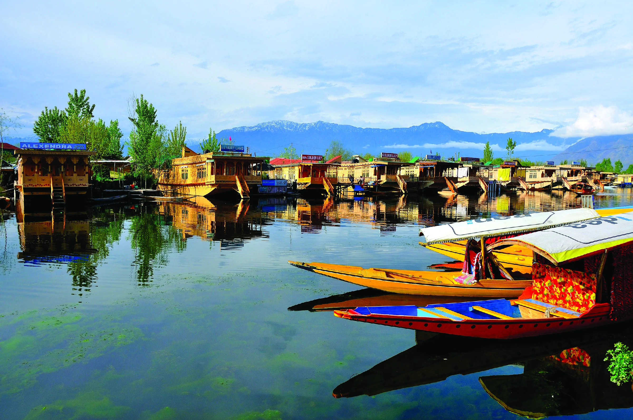 dal lake (4)