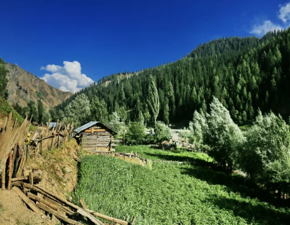 Gurez Valley Tour