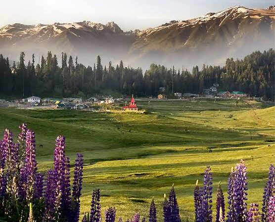 8 Days Kashmir With Dodhpathri Tour