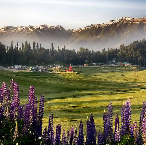 8 Days Kashmir With Dodhpathri Tour